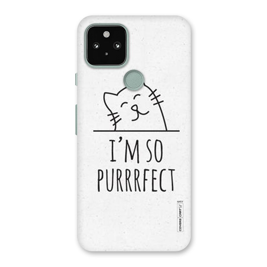 So Purrfect Back Case for Google Pixel 5