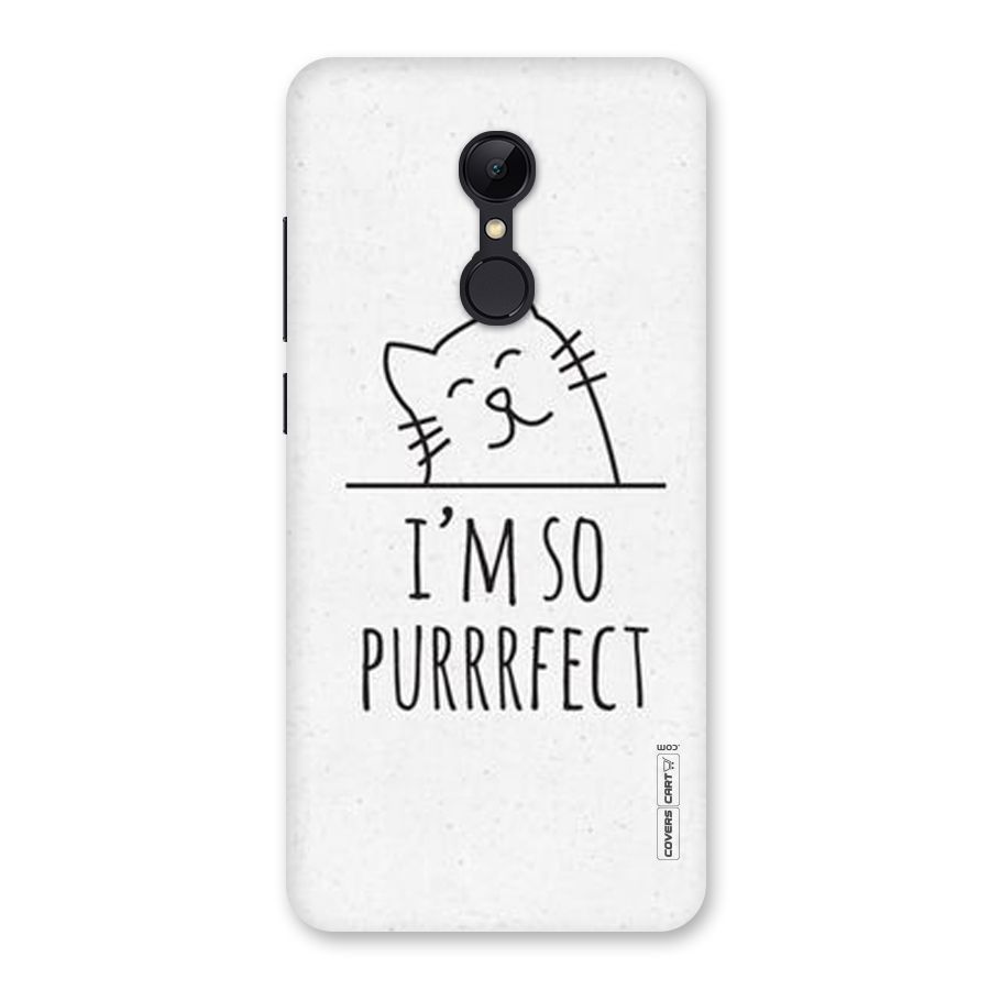 So Purrfect Back Case for Redmi 5