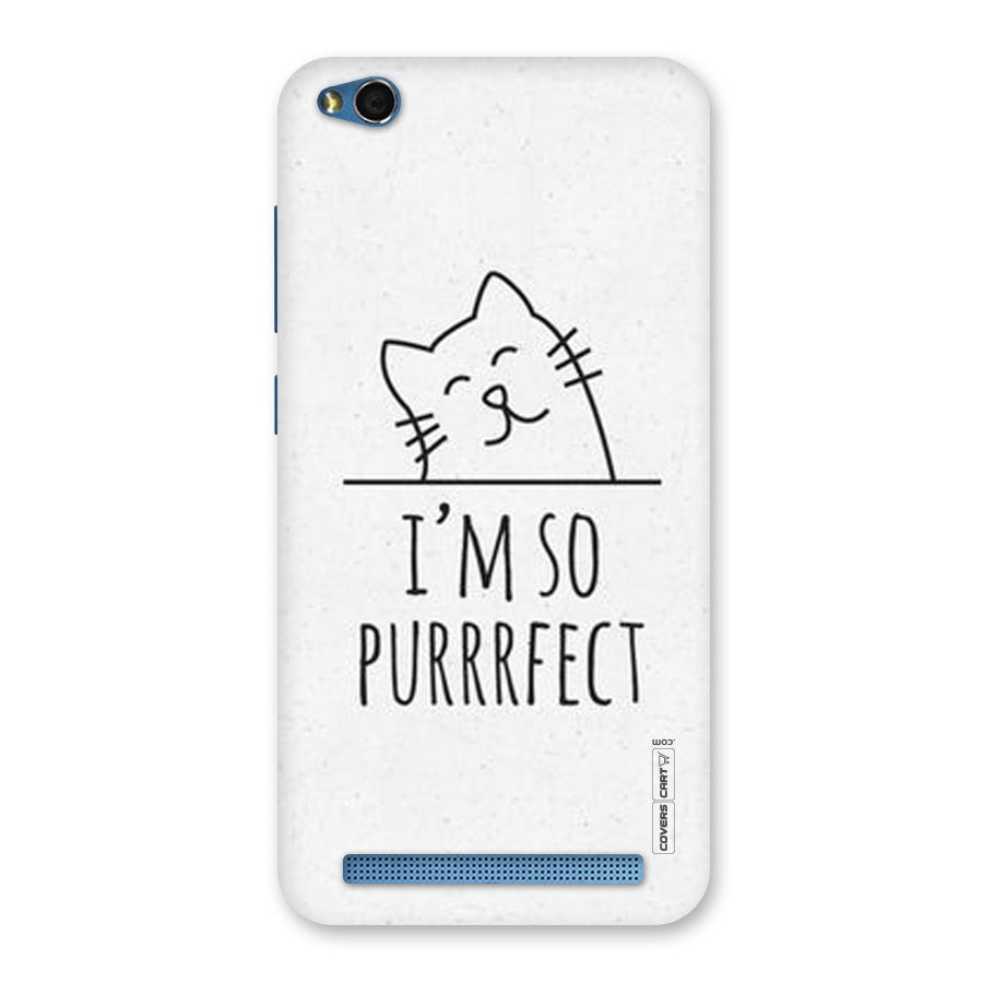 So Purrfect Back Case for Redmi 5A
