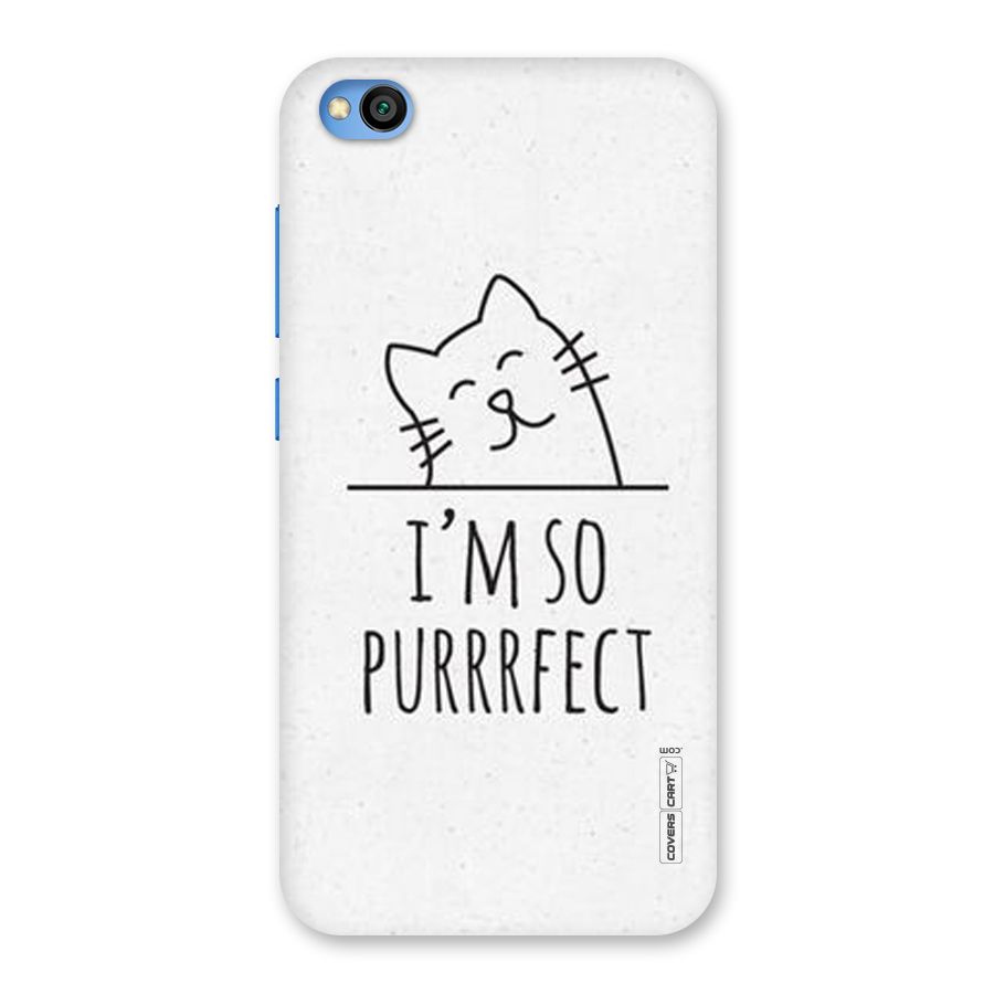 So Purrfect Back Case for Redmi Go