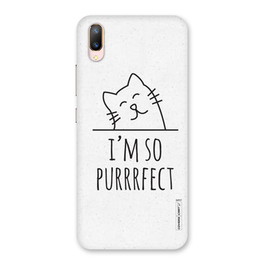 So Purrfect Back Case for Vivo V11 Pro