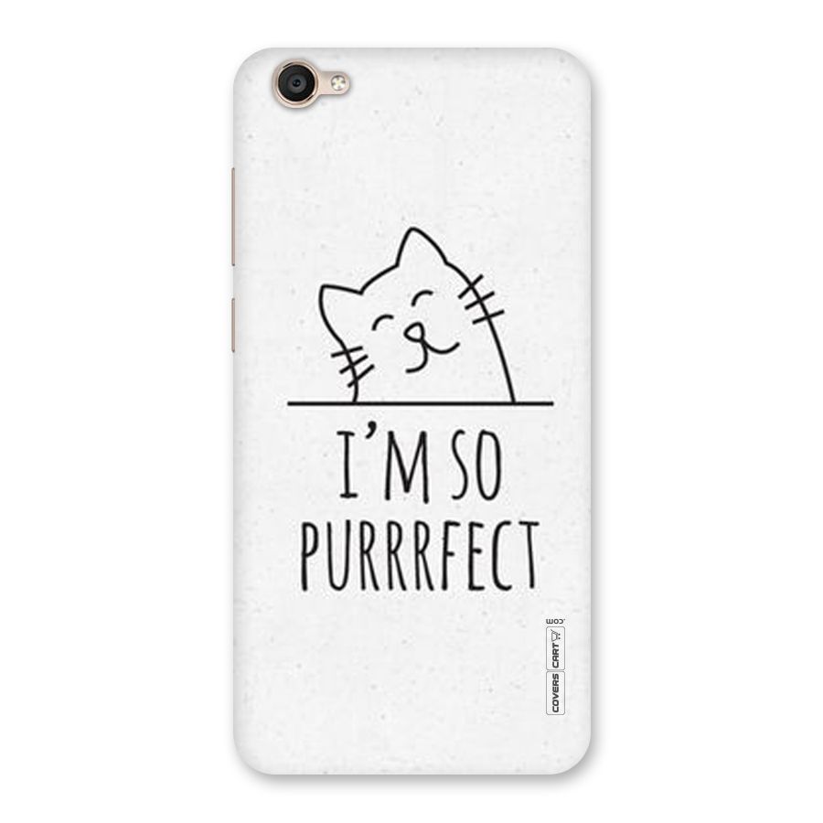 So Purrfect Back Case for Vivo Y55