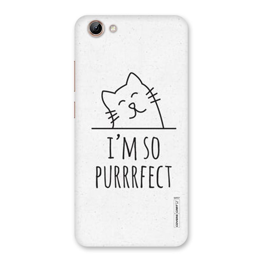 So Purrfect Back Case for Vivo Y71i