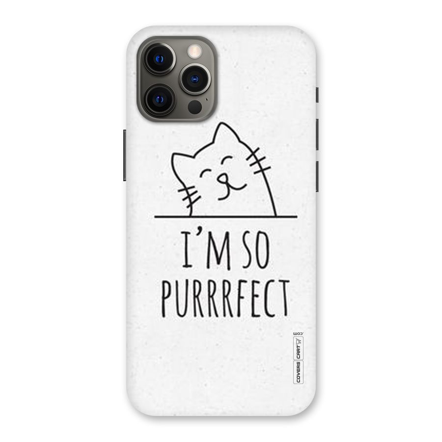 So Purrfect Back Case for iPhone 12 Pro Max