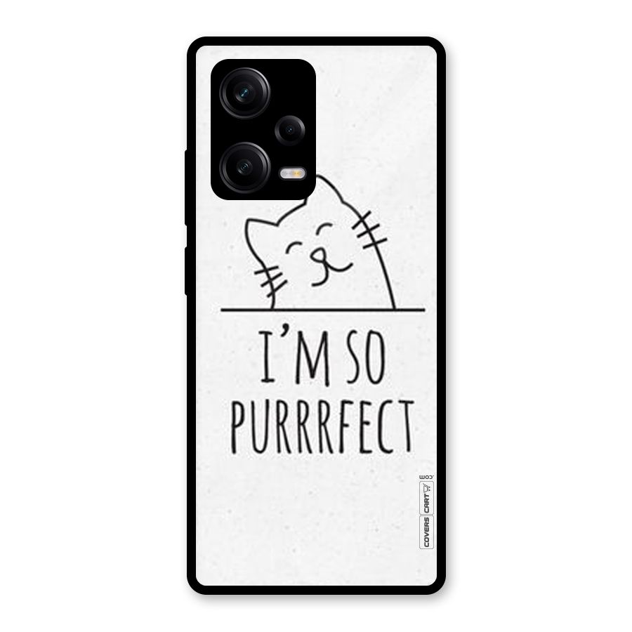 So Purrfect Glass Back Case for Redmi Note 12 Pro