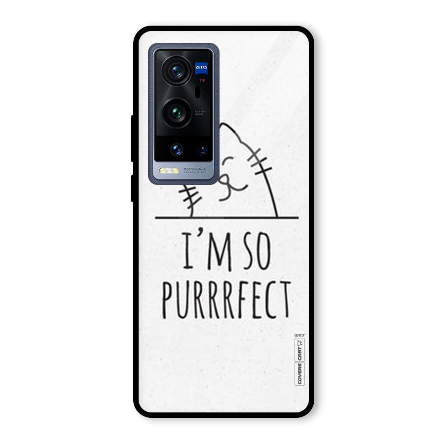 So Purrfect Glass Back Case for Vivo X60 Pro Plus