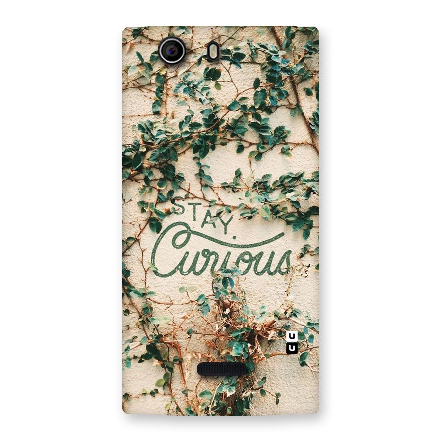 Stay Curious Back Case for Canvas Nitro 2 E311