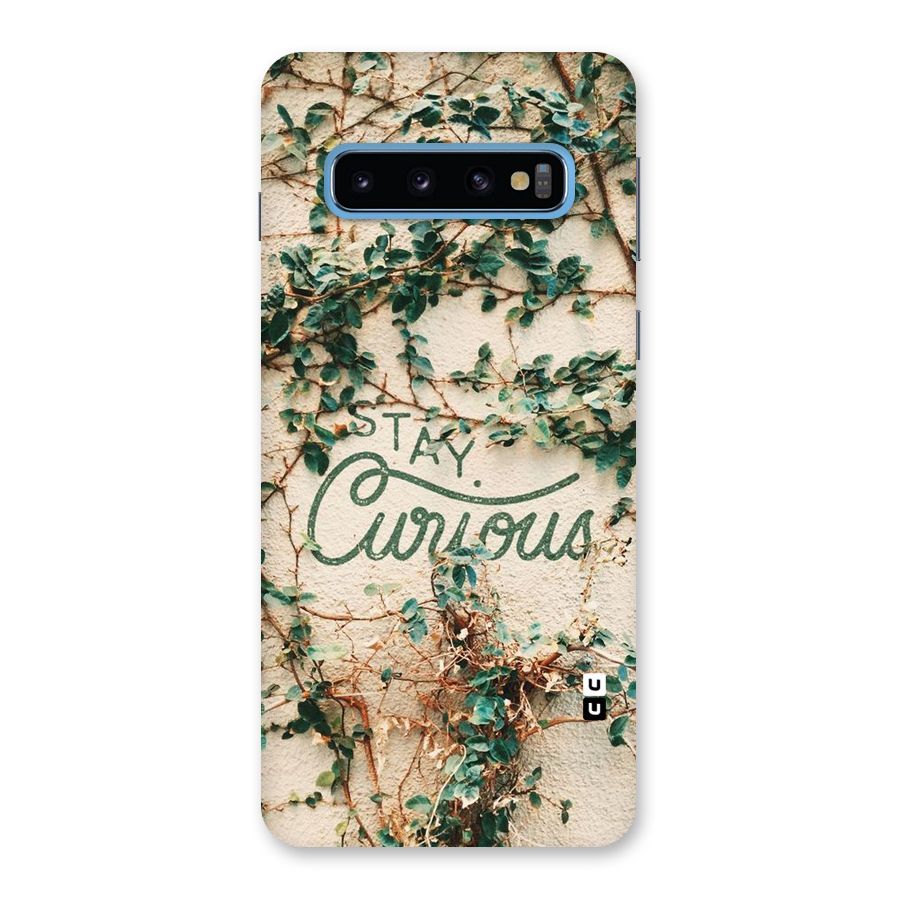 Stay Curious Back Case for Galaxy S10