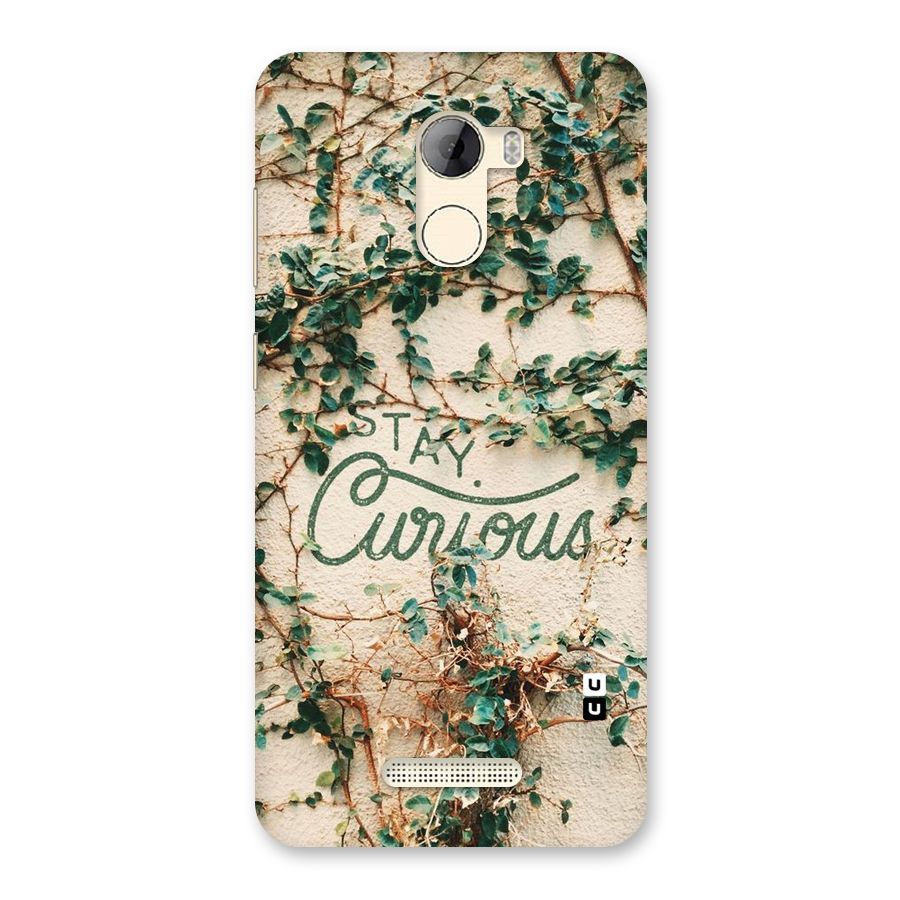 Stay Curious Back Case for Gionee A1 LIte