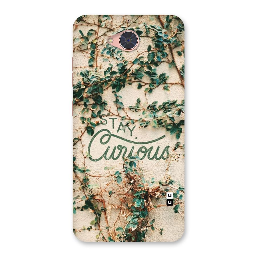 Stay Curious Back Case for Gionee S6 Pro