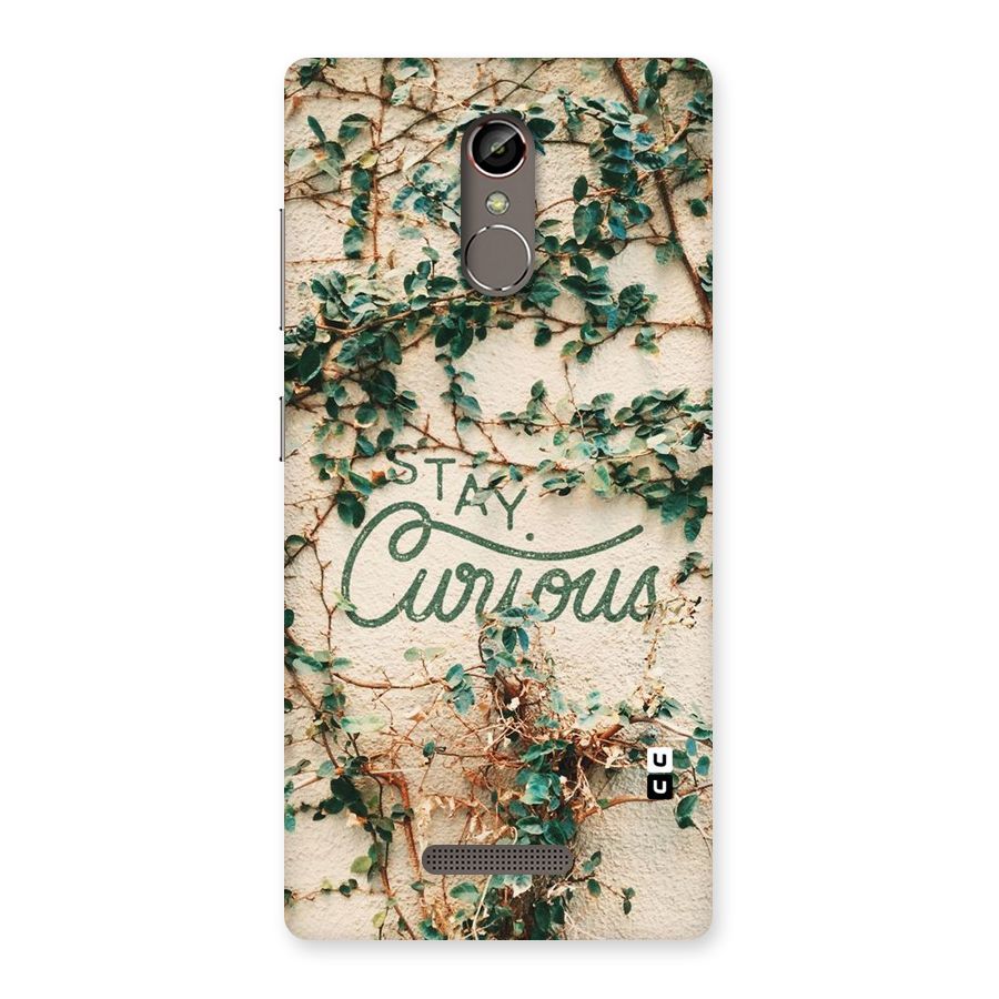 Stay Curious Back Case for Gionee S6s