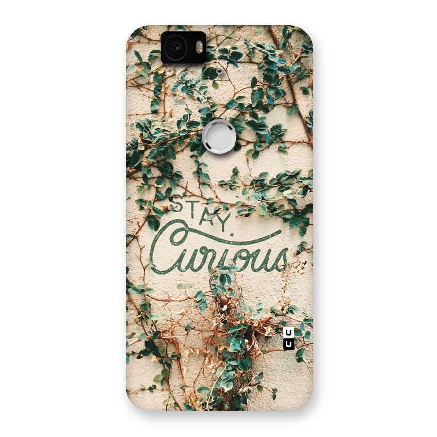 Stay Curious Back Case for Google Nexus-6P