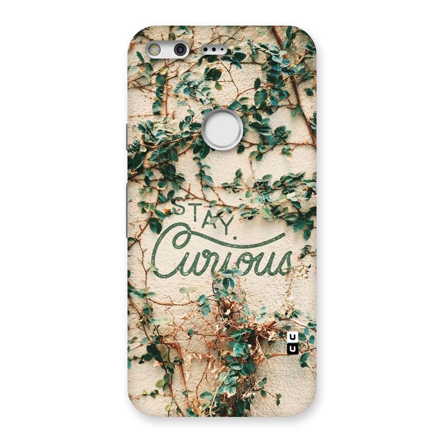 Stay Curious Back Case for Google Pixel