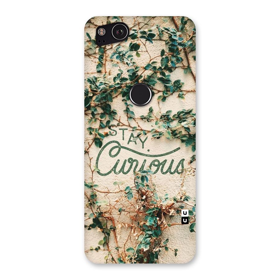 Stay Curious Back Case for Google Pixel 2