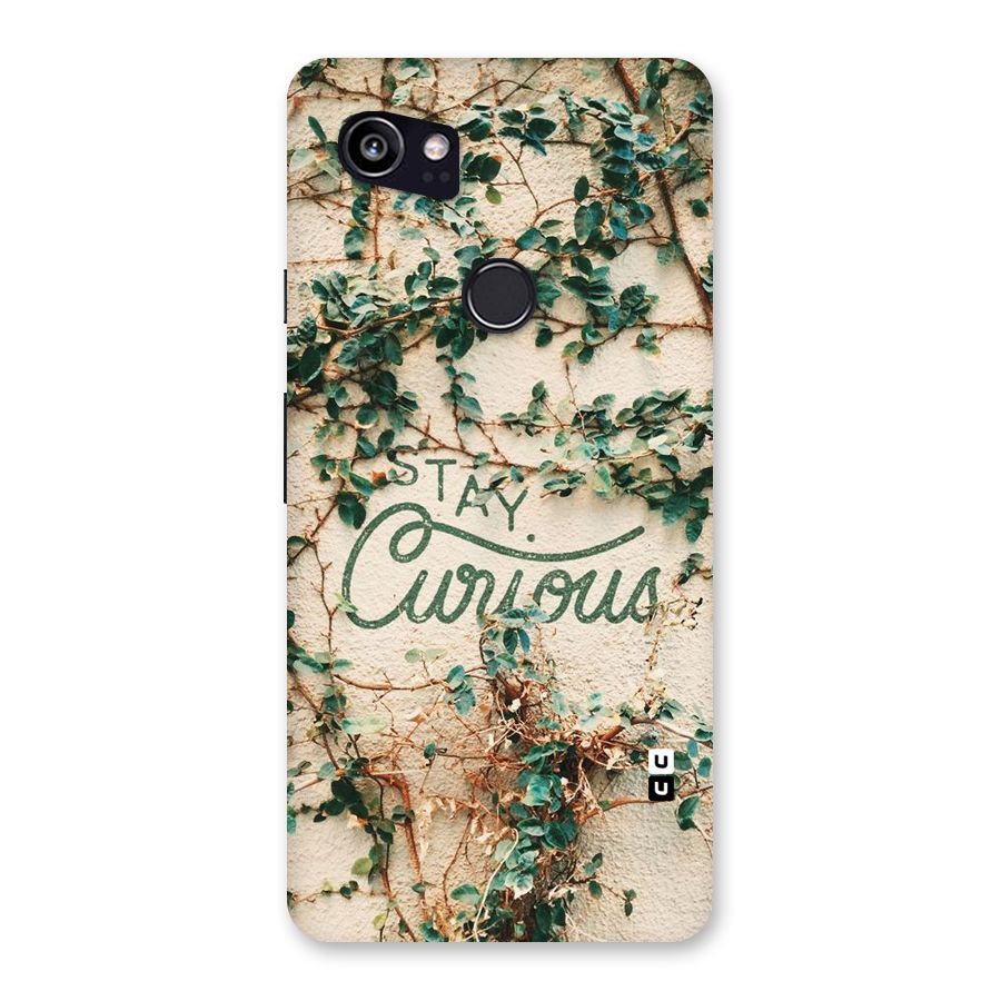 Stay Curious Back Case for Google Pixel 2 XL