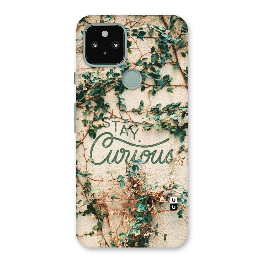 Stay Curious Back Case for Google Pixel 5
