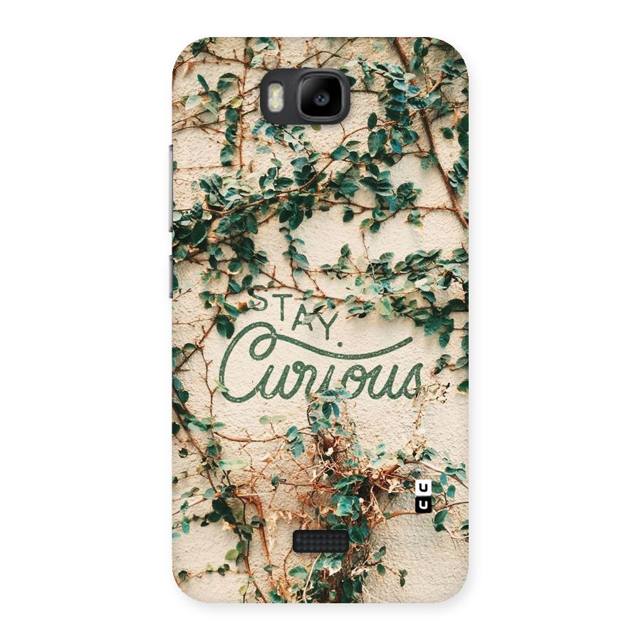 Stay Curious Back Case for Honor Bee