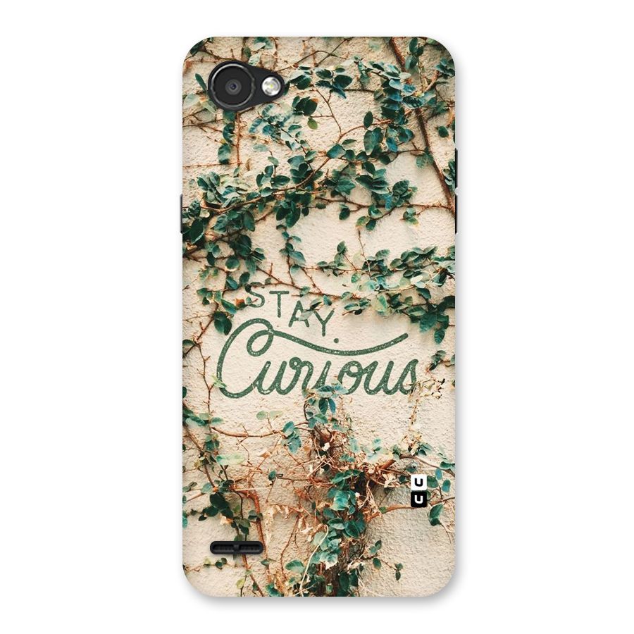 Stay Curious Back Case for LG Q6
