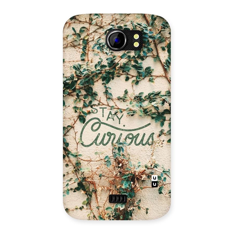 Stay Curious Back Case for Micromax Canvas 2 A110