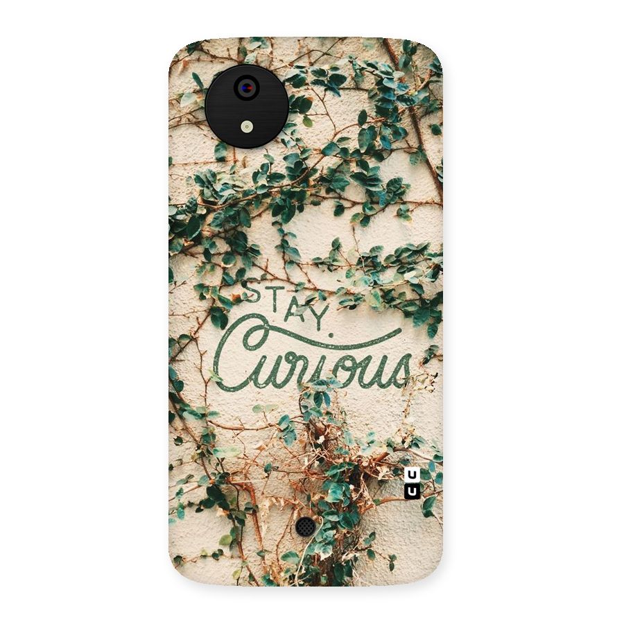 Stay Curious Back Case for Micromax Canvas A1