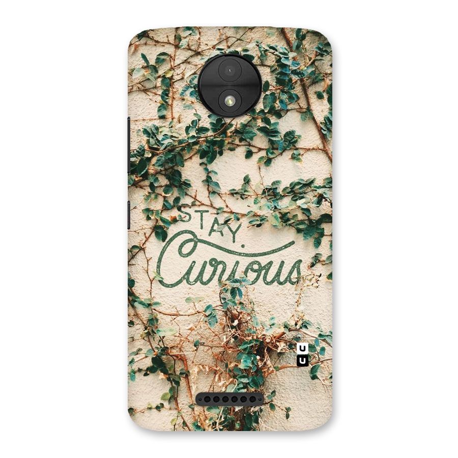 Stay Curious Back Case for Moto C