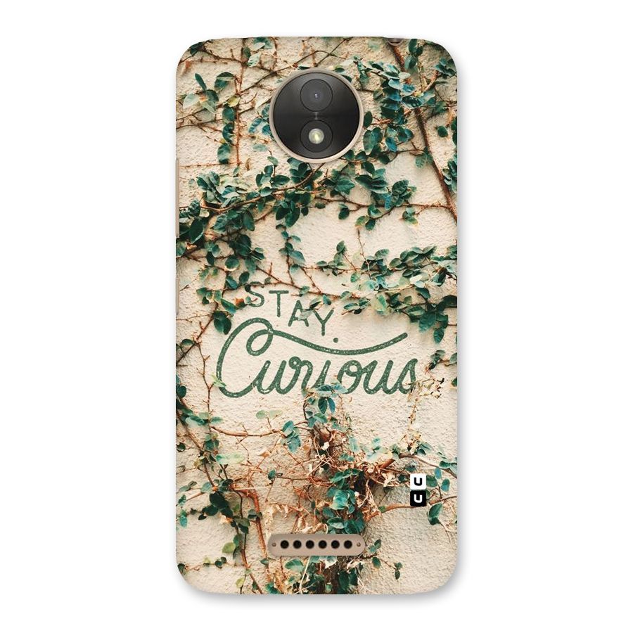 Stay Curious Back Case for Moto C Plus