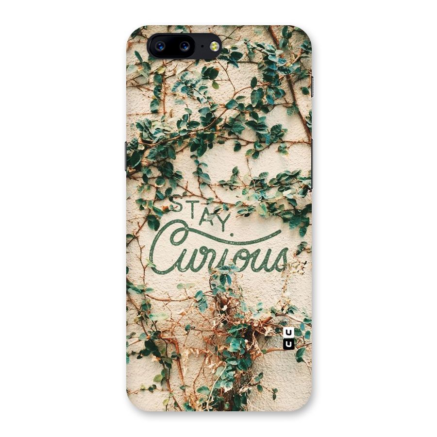 Stay Curious Back Case for OnePlus 5