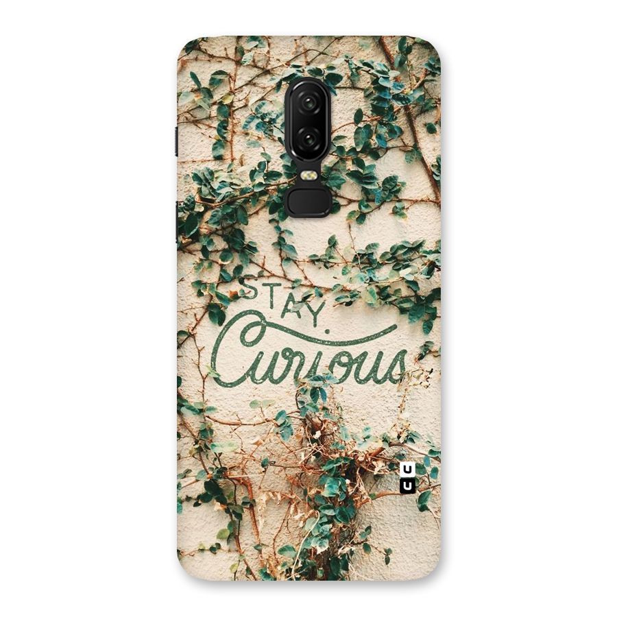 Stay Curious Back Case for OnePlus 6