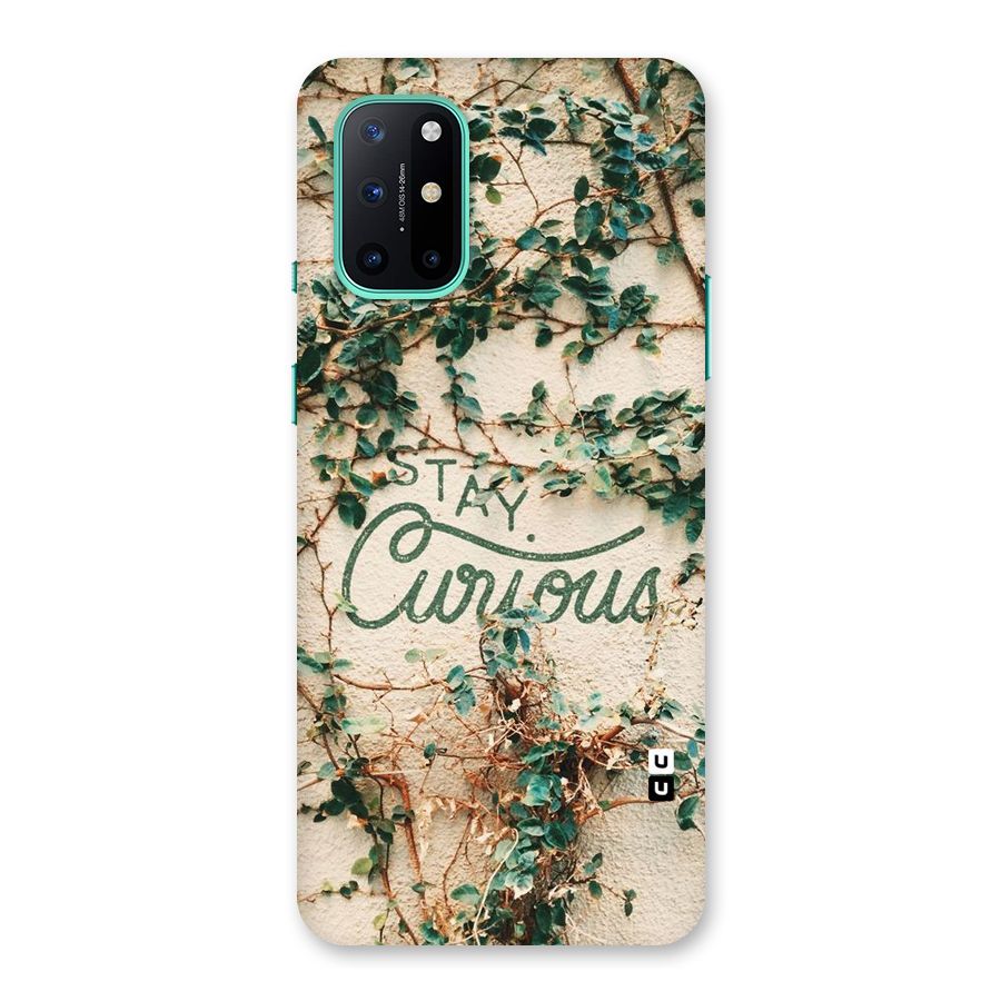Stay Curious Back Case for OnePlus 8T