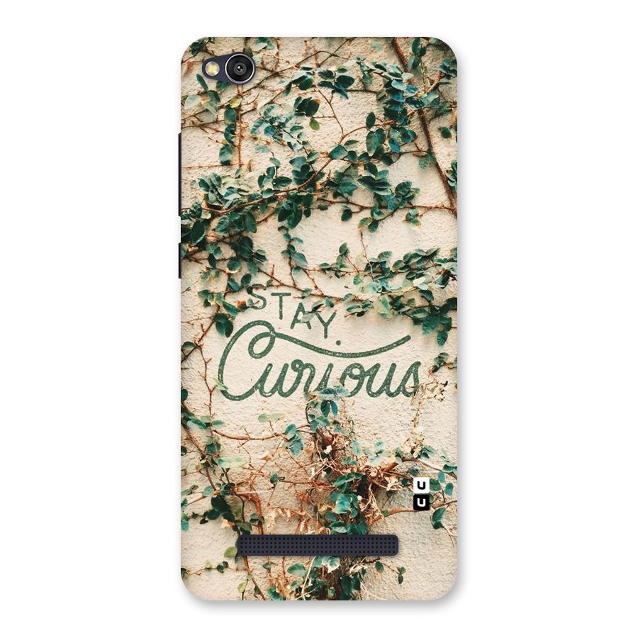 Stay Curious Back Case for Redmi 4A
