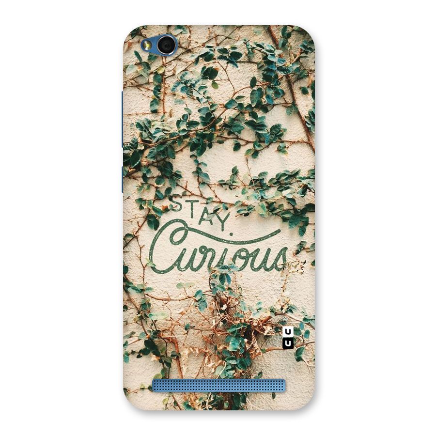 Stay Curious Back Case for Redmi 5A