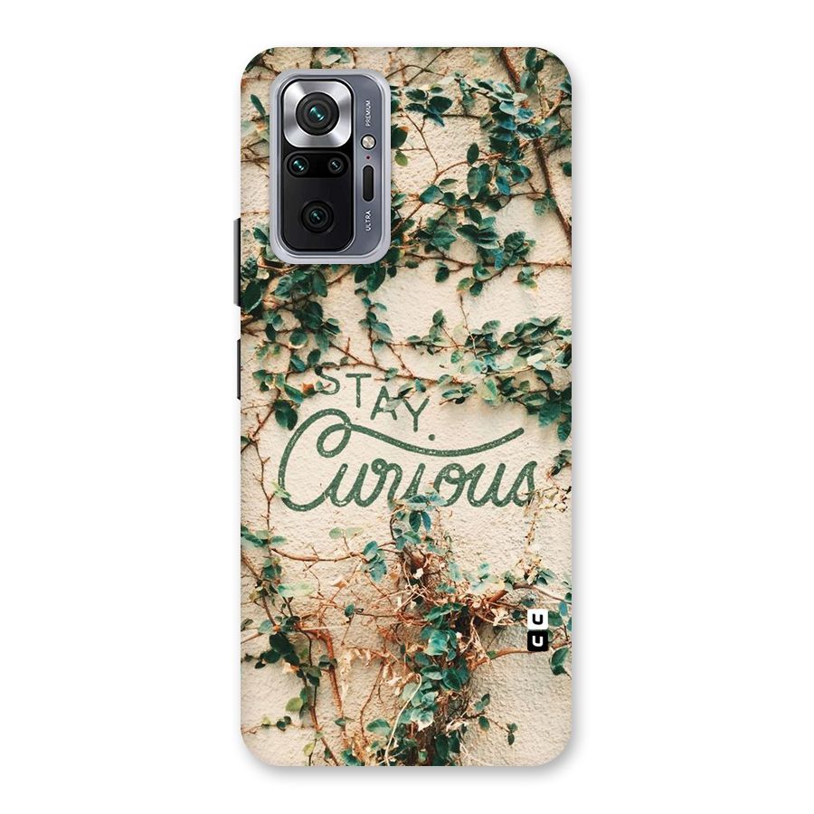 Stay Curious Back Case for Redmi Note 10 Pro Max