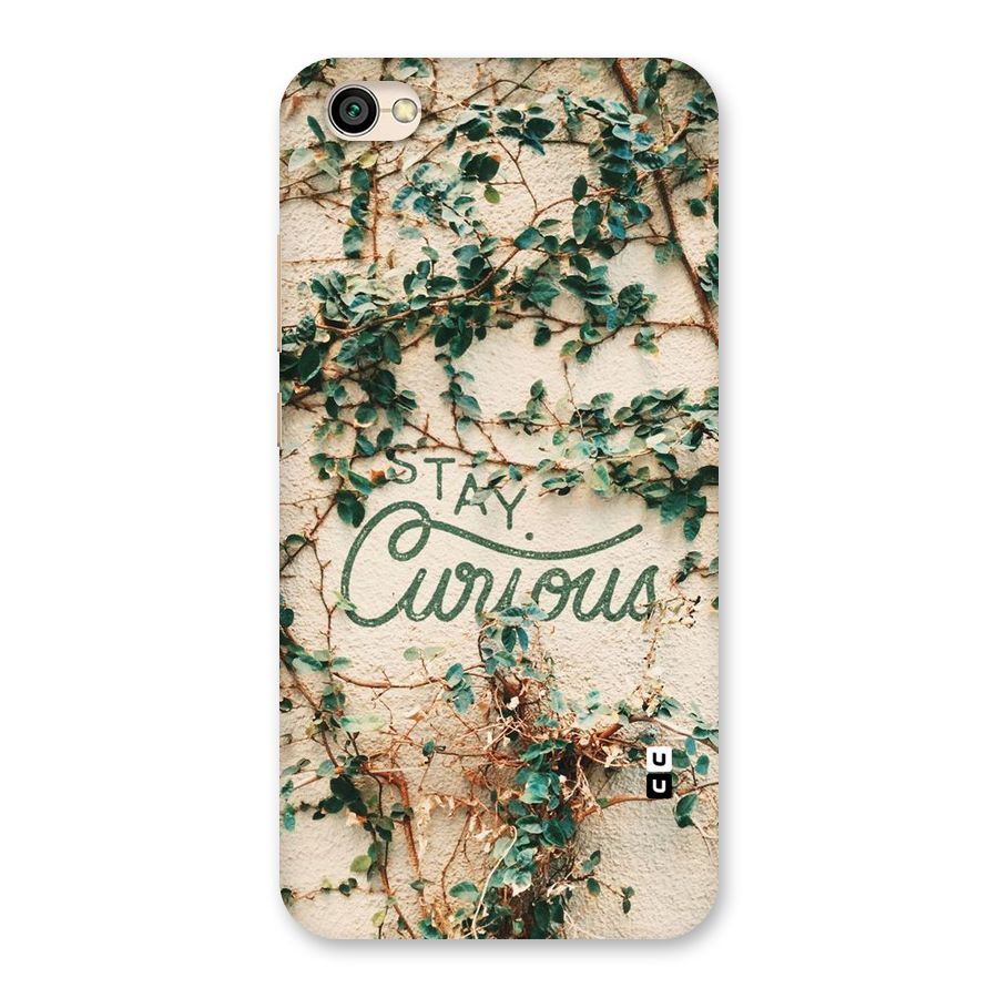 Stay Curious Back Case for Redmi Y1 Lite