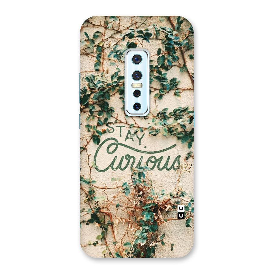 Stay Curious Back Case for Vivo V17 Pro