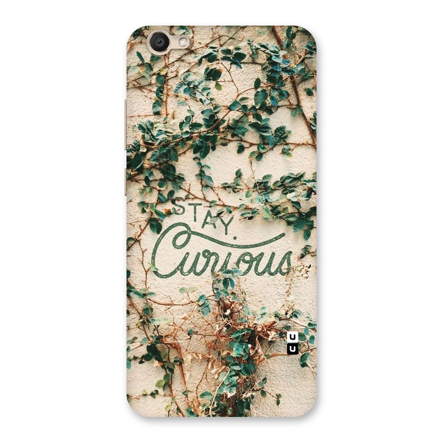 Stay Curious Back Case for Vivo V5