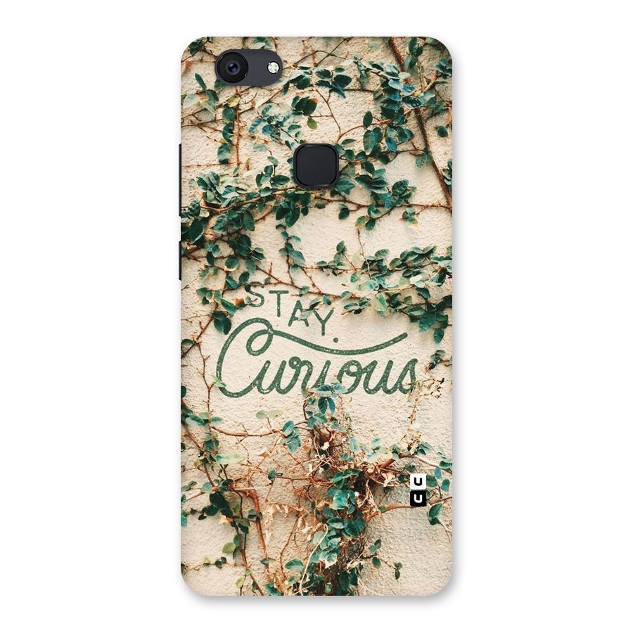 Stay Curious Back Case for Vivo V7 Plus
