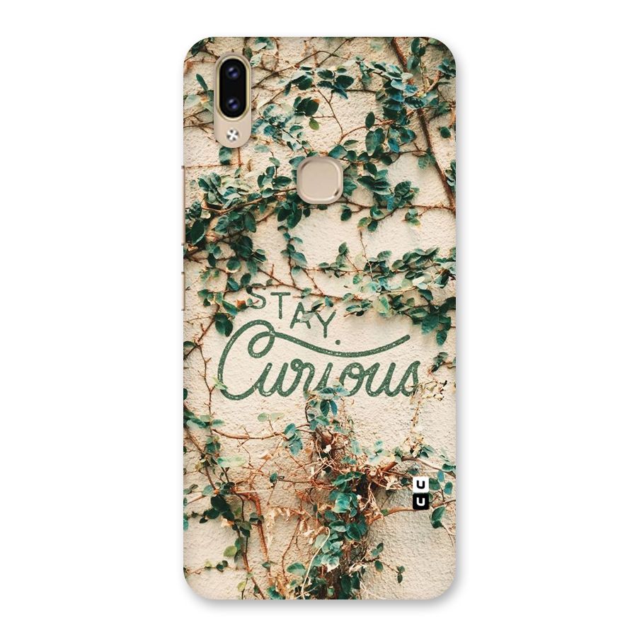 Stay Curious Back Case for Vivo V9 Youth