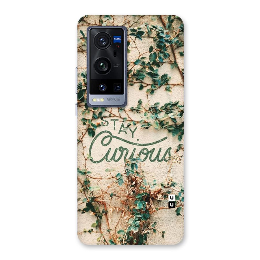 Stay Curious Back Case for Vivo X60 Pro Plus