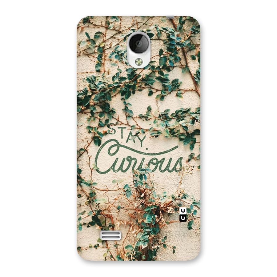 Stay Curious Back Case for Vivo Y21