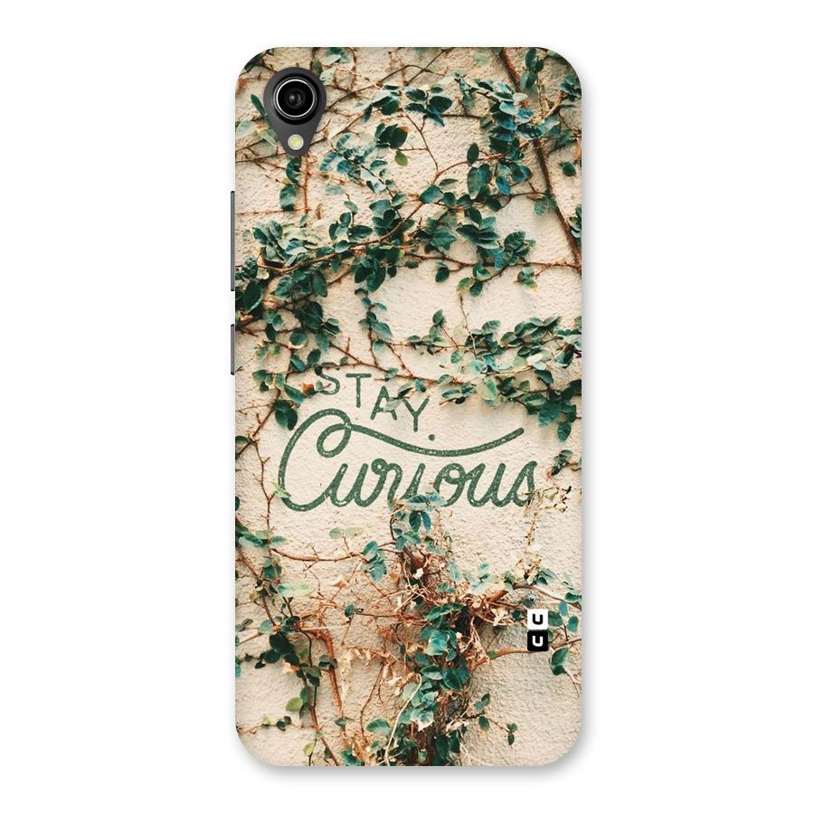 Stay Curious Back Case for Vivo Y90