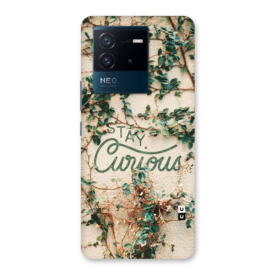 Stay Curious Back Case for Vivo iQOO Neo 6 5G