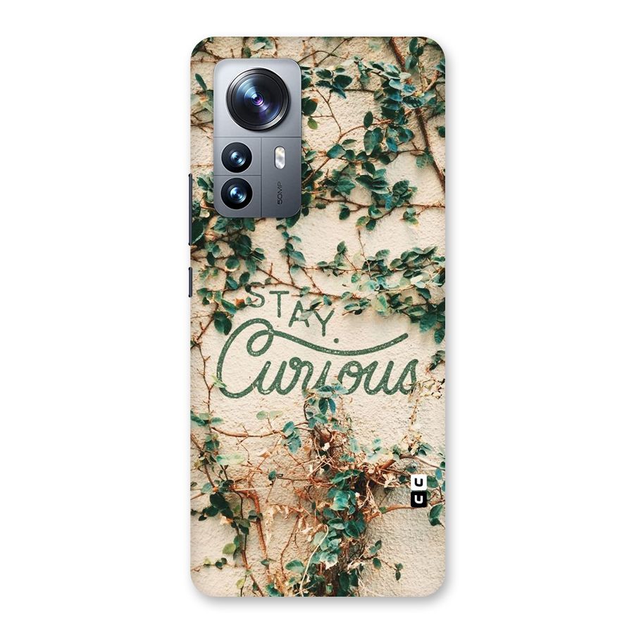 Stay Curious Back Case for Xiaomi 12 Pro
