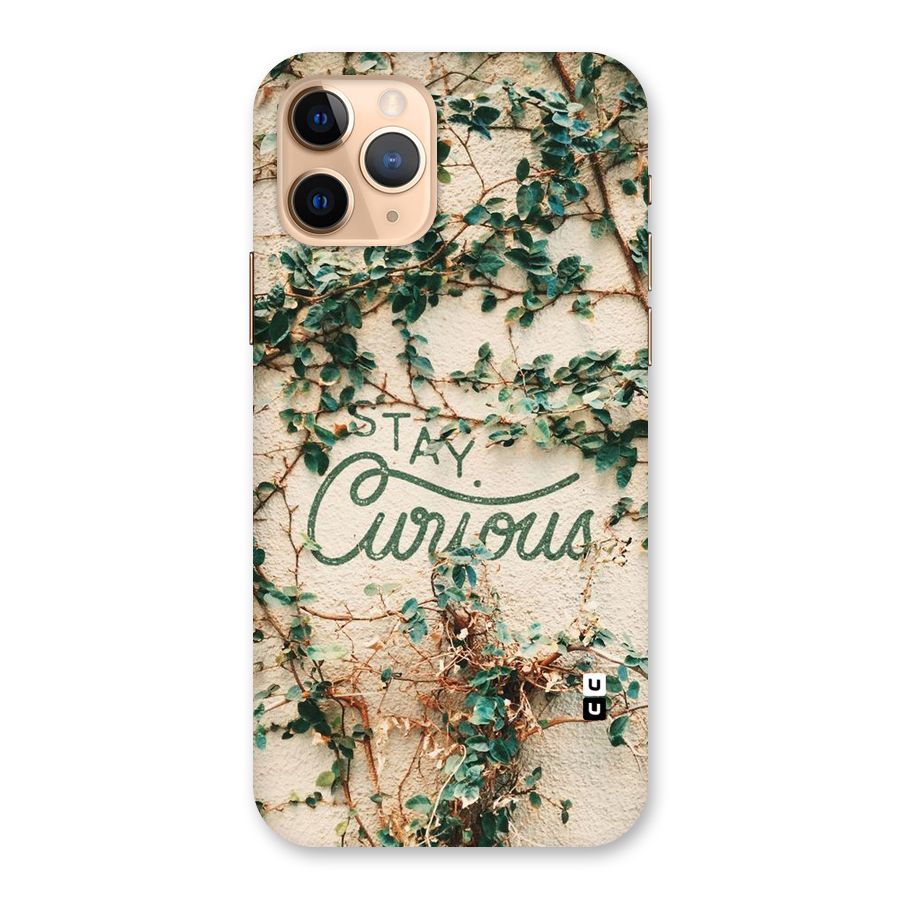 Stay Curious Back Case for iPhone 11 Pro