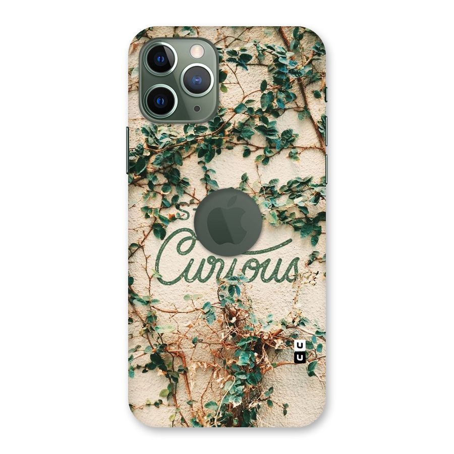 Stay Curious Back Case for iPhone 11 Pro Logo  Cut