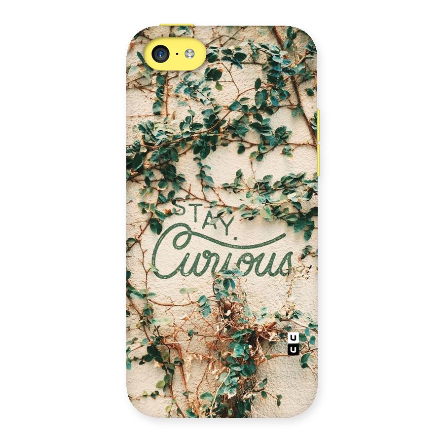 Stay Curious Back Case for iPhone 5C