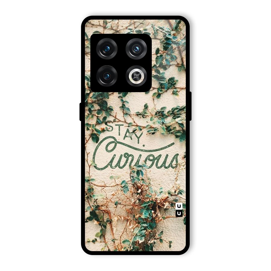 Stay Curious Glass Back Case for OnePlus 10 Pro 5G