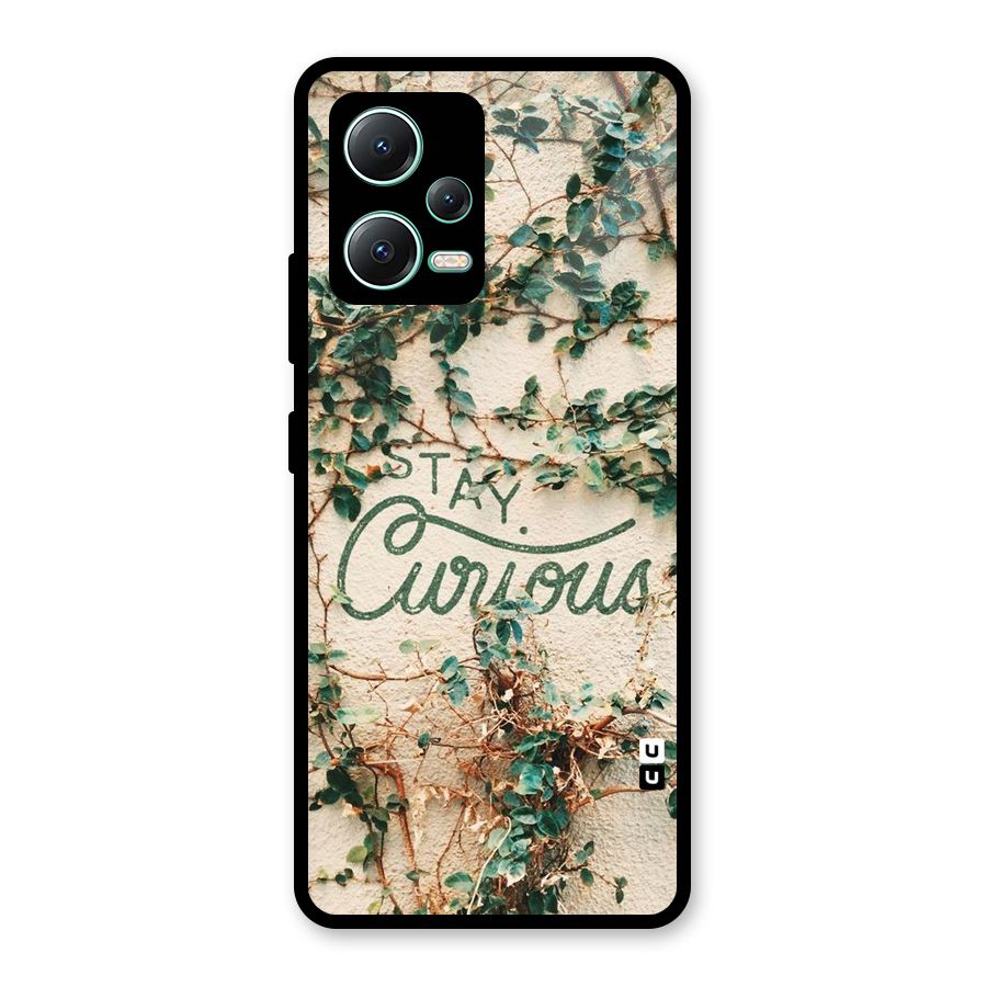 Stay Curious Glass Back Case for Redmi Note 12 5G