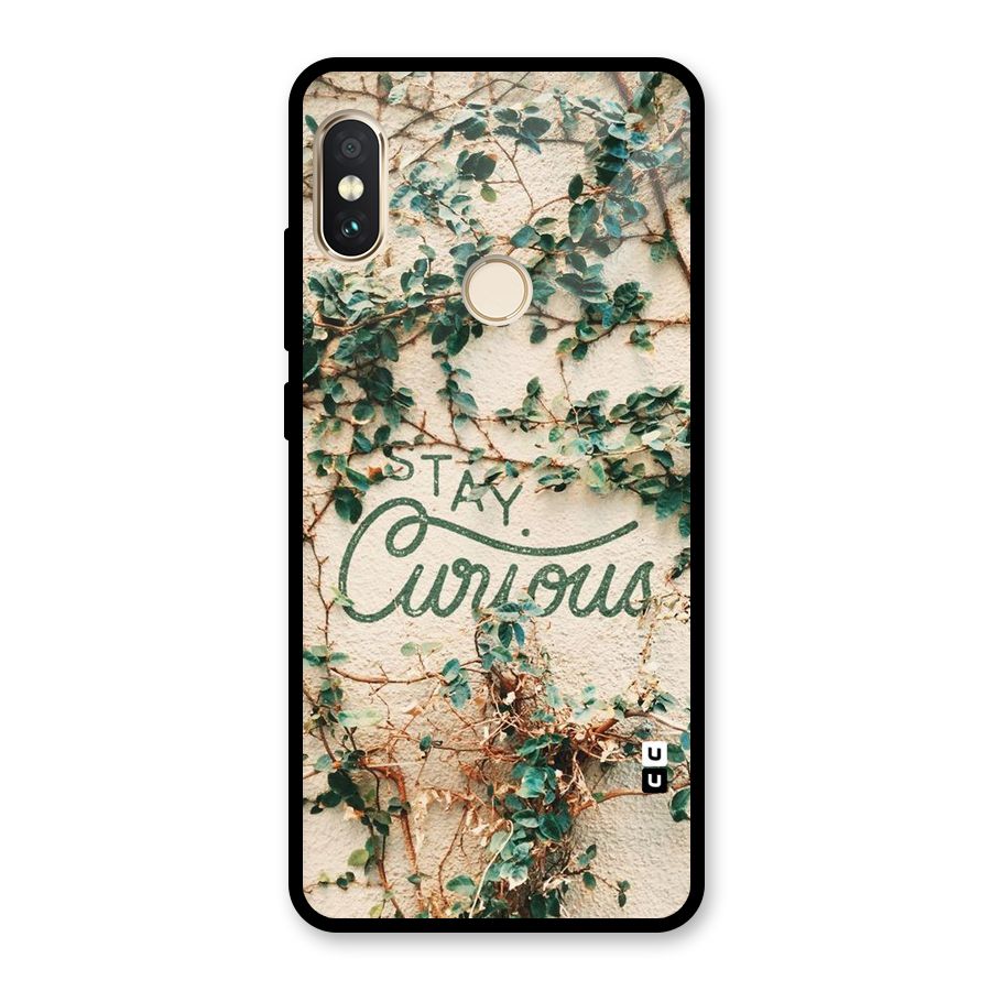 Stay Curious Glass Back Case for Redmi Note 5 Pro