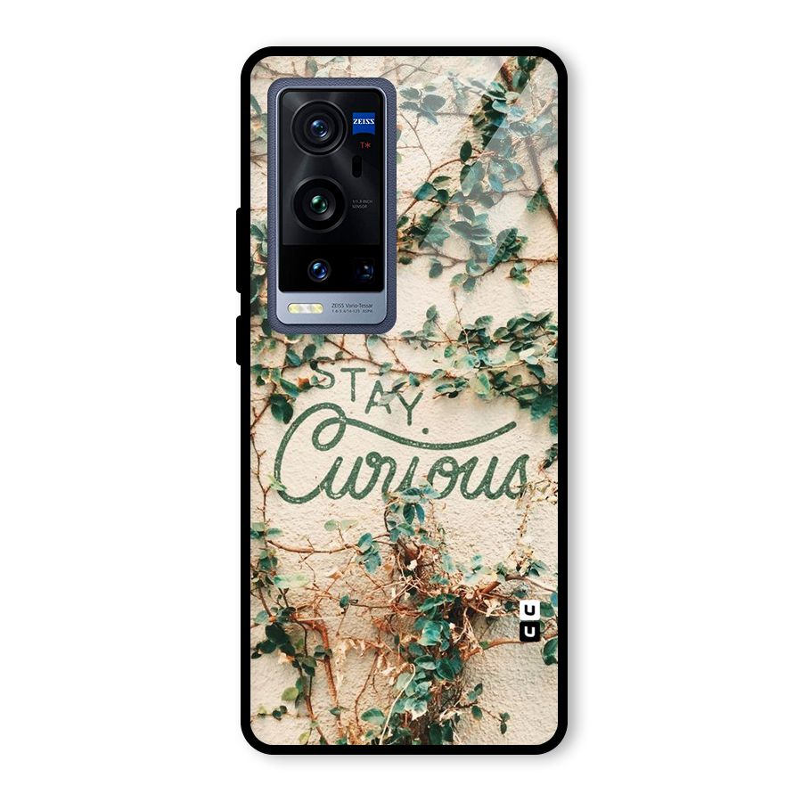 Stay Curious Glass Back Case for Vivo X60 Pro Plus