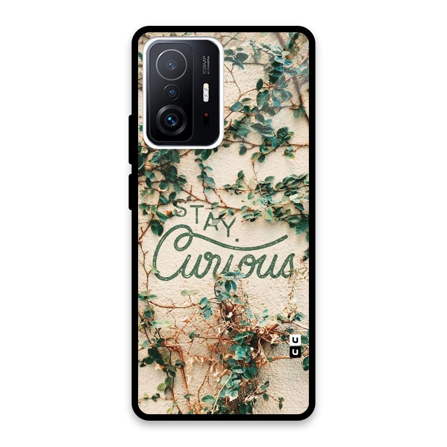 Stay Curious Glass Back Case for Xiaomi 11T Pro